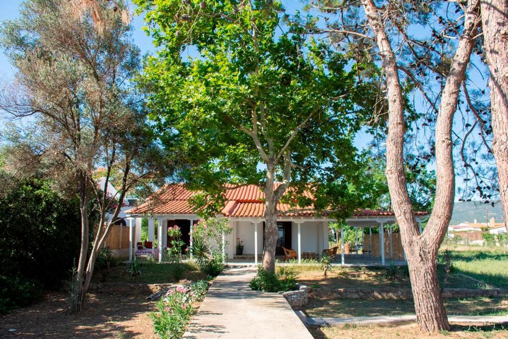 Dikella Casa Vista Al Marヴィラ エクステリア 写真