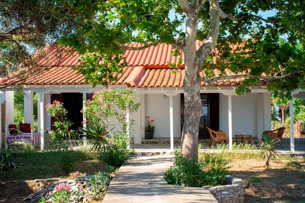 Dikella Casa Vista Al Marヴィラ エクステリア 写真
